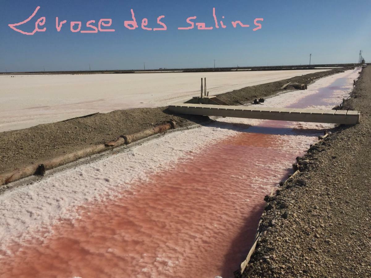 생 드 지로 Maebrilu Camargue Provence B&B 외부 사진
