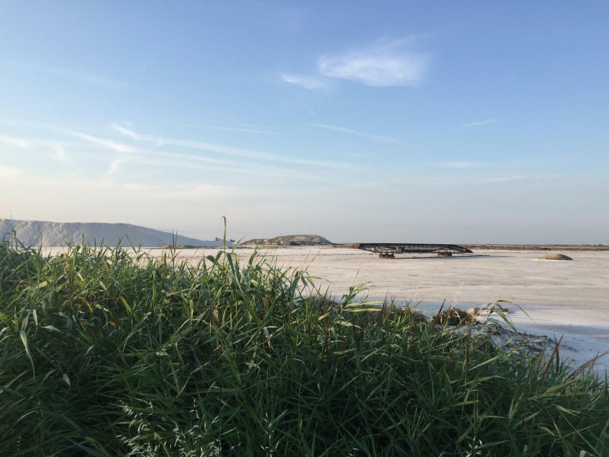 생 드 지로 Maebrilu Camargue Provence B&B 외부 사진